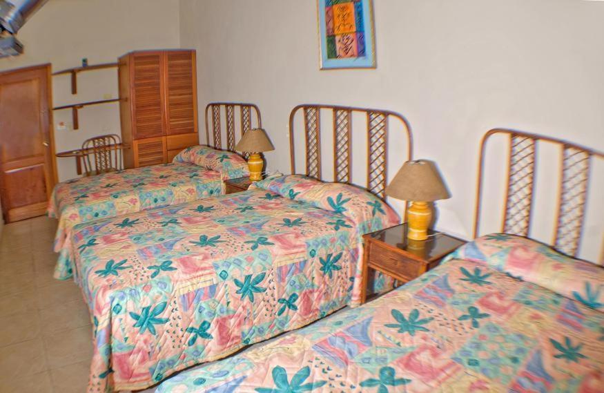 Carey House Hotel 산토도밍고 외부 사진